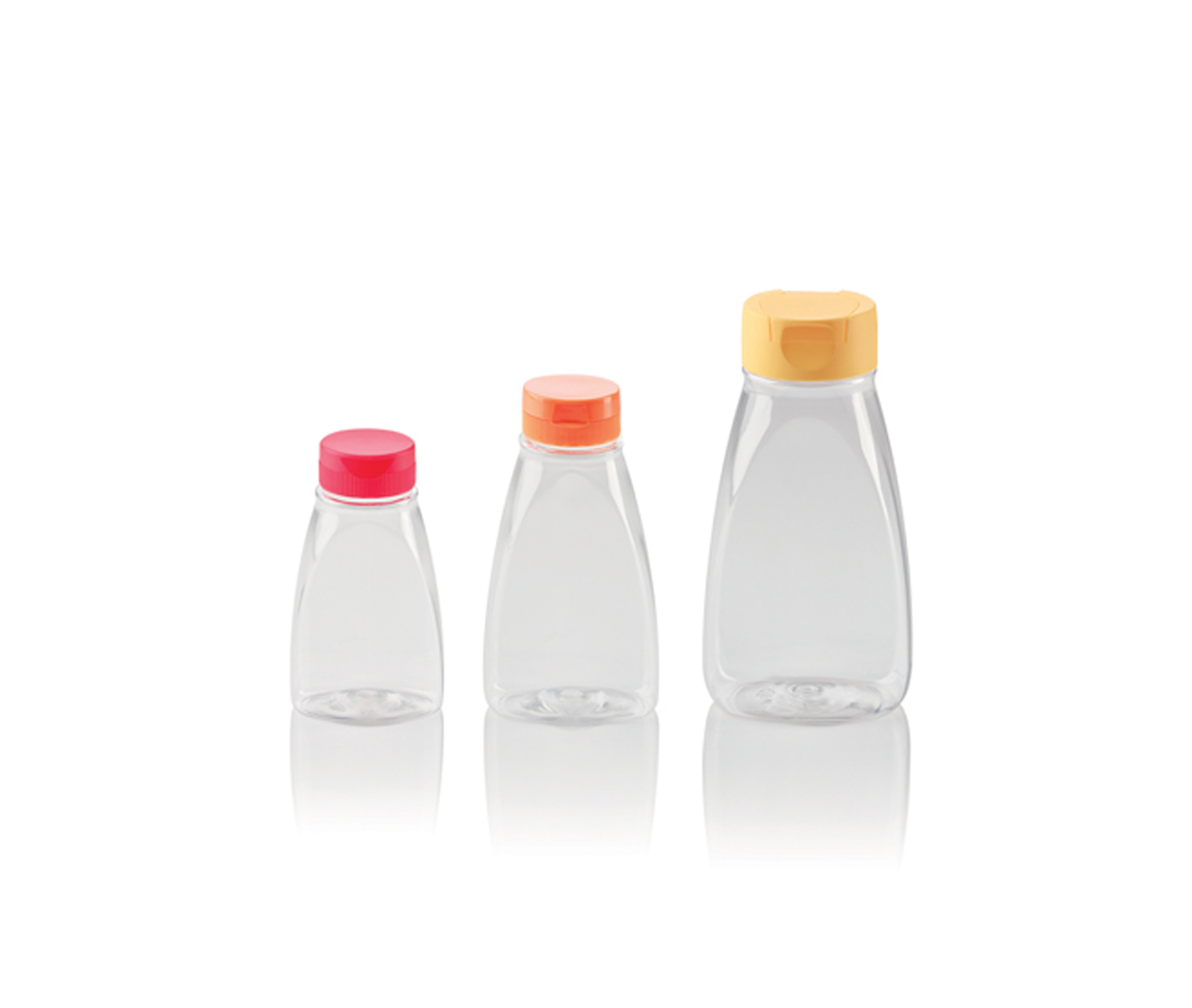 PET-flaska 250 ml | GINGER 3