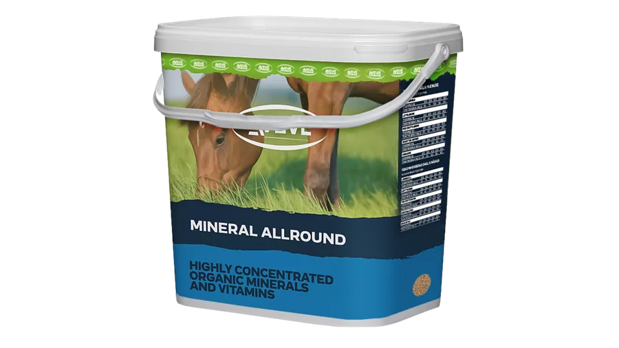 Mineral Allround plasthink