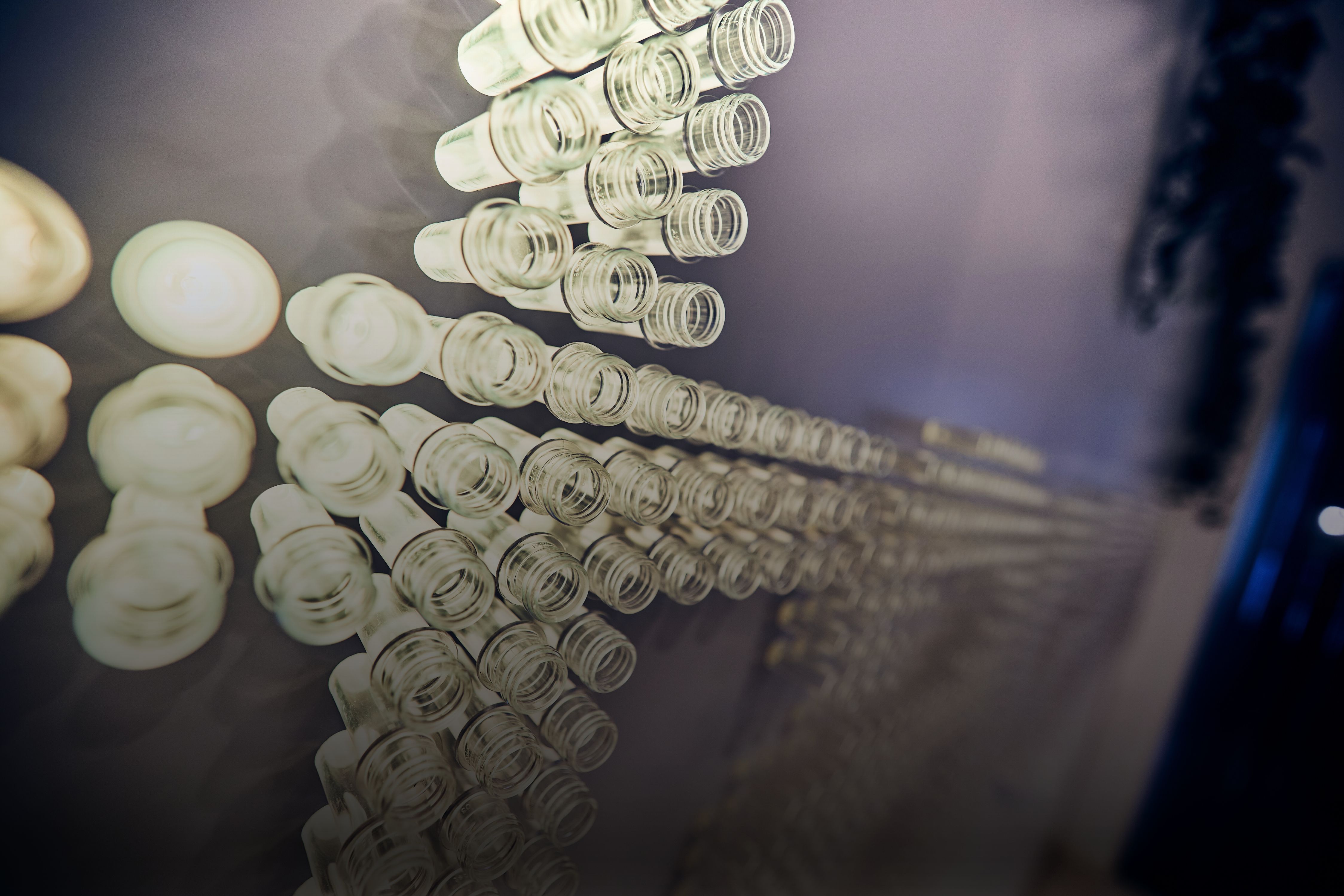 tara pac logotyp preform