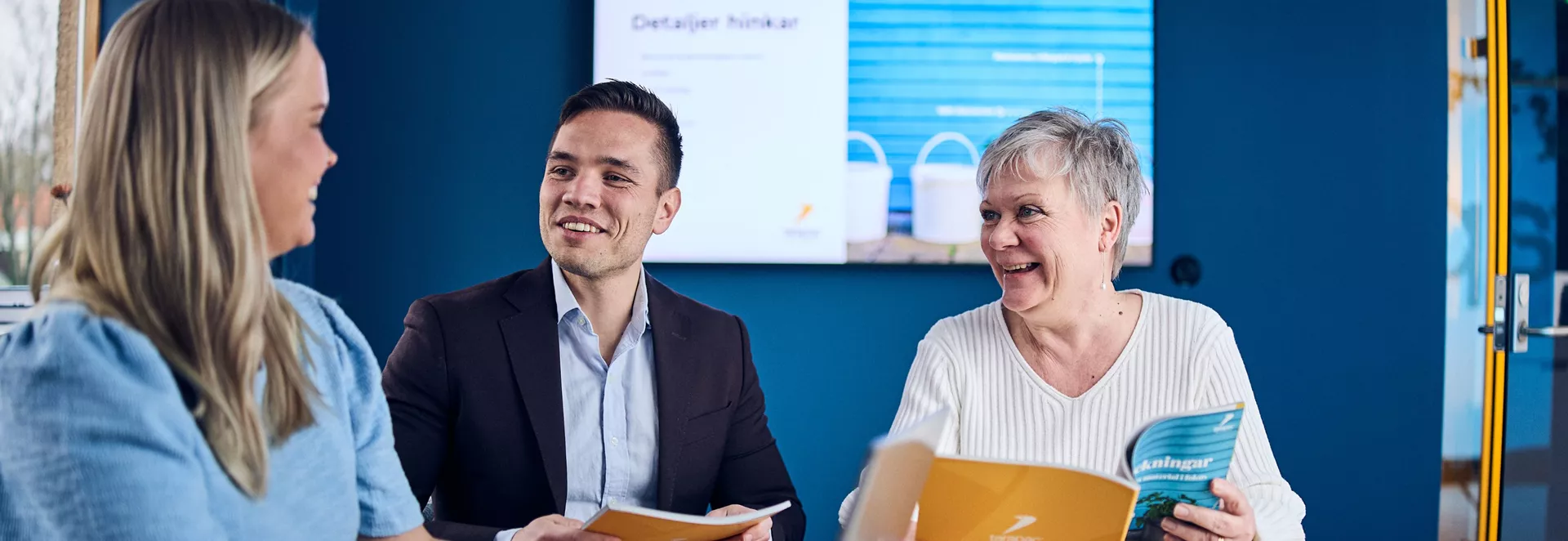 Kollegor i möte med presentation